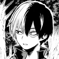 shoto todoroki