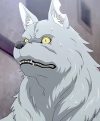 Wolfgang von Kraftma