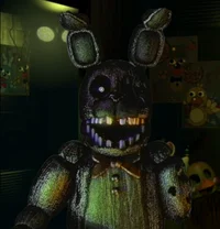 Phantom Bonnie 
