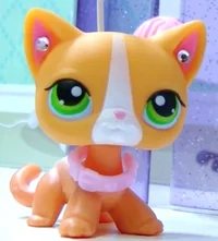 Angelina Davis - Cat