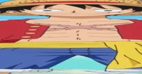 Fat Luffy
