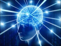 Your braincells