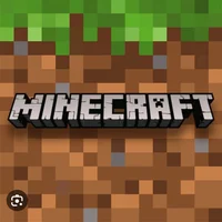 Pov you own minecraf