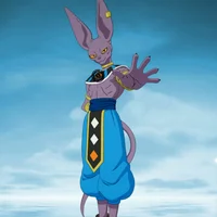 Beerus ImaginedOrder