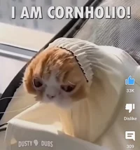 cornholio