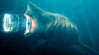 Megalodon 