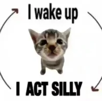 Talking cat