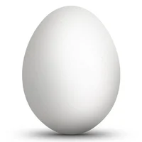 An Egg