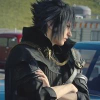 Noctis Lucis Caelum 