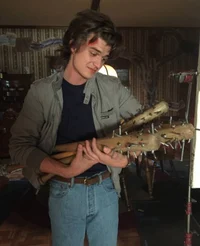 Steve Harrington