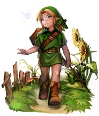 Young Link and Navi