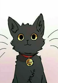 Your black cat Rp