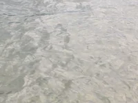 Annoyed Receptionist