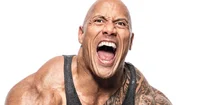 The Rock