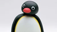 Pingu