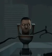 Unknow Skibibi toile