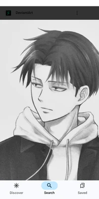 Modern levi