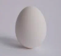 Egg opening sim