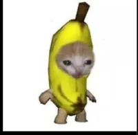 Banana Cat
