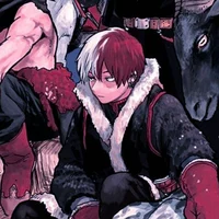 Shoto Todoroki
