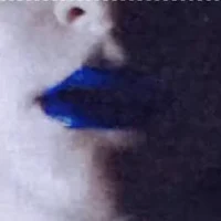 The Mind -ChonnyJash