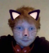 Cat boy Ed Sheeran
