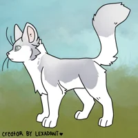 Warrior Cats Canon
