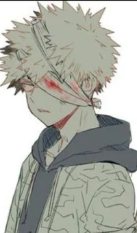 Exp Katsuki Bakugou