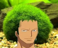Zoro