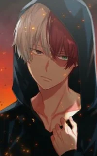 Villain Todoroki