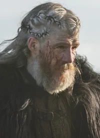 Viking jarl