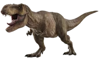 T-Rex