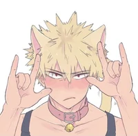 Katsuki Bakugou