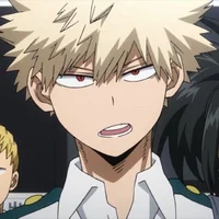 Bakugou Bestfriend