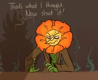 Cagney Carnation