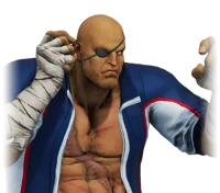 Sagat