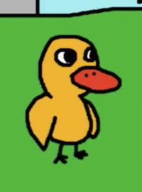 The Duck