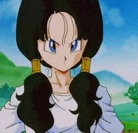 Videl