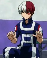Todoroki 