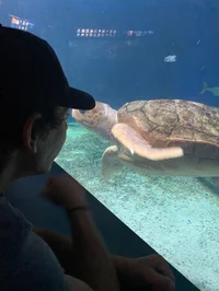 Aquarium Worker Jake
