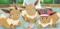 Eevee TF Gang