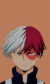 Shoto Todoroki 