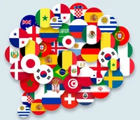 I speak any language