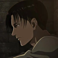 Levi Ackerman 