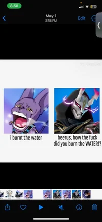 Stray beerus roomies