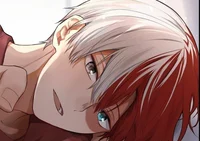 Shoto Todoroki