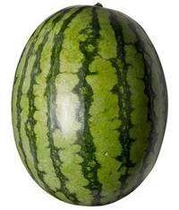 A single watermelon