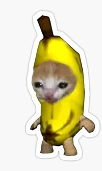 Gato platano