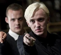 Draco malfoy 