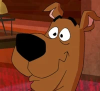 Scoob